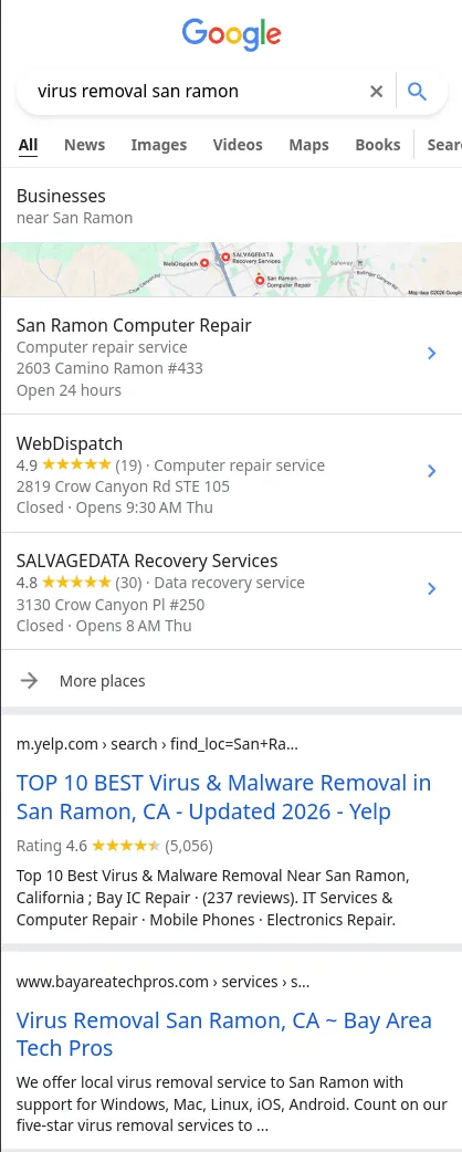 Virus Removal San Ramon search matrix results 2