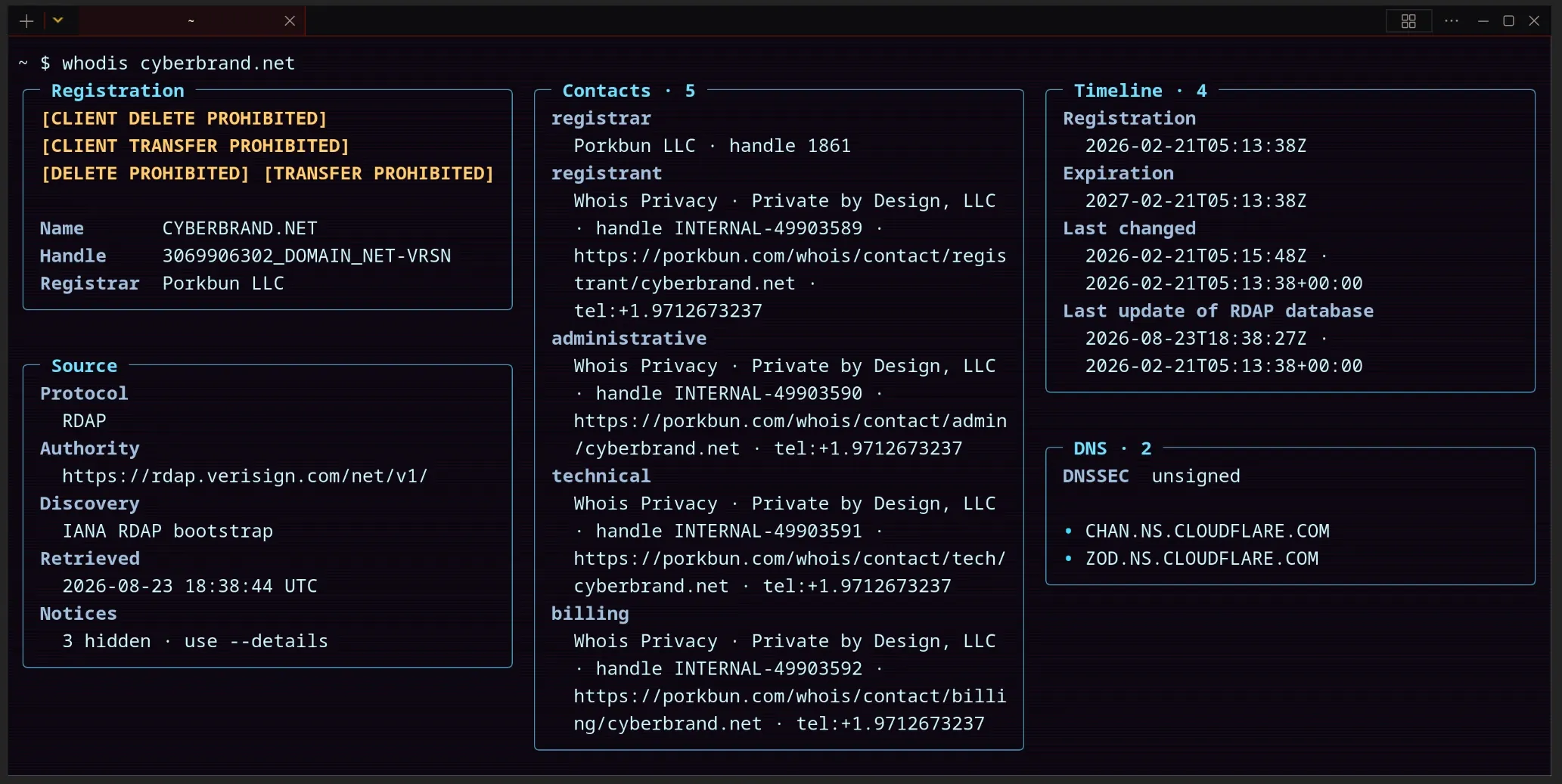 Whodis terminal dashboard showing registration and DNS evidence