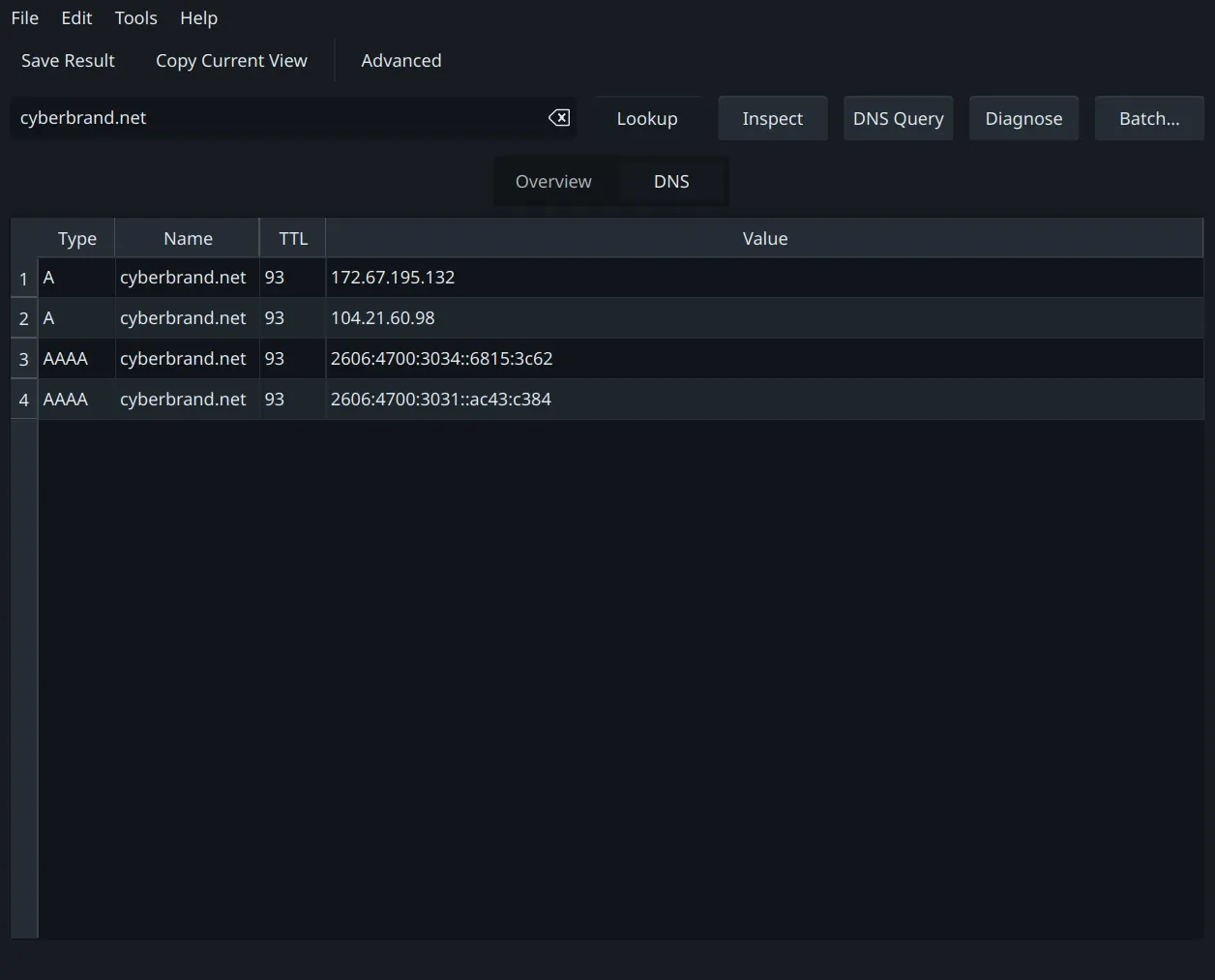 Native DNS query view showing A and AAAA answers for cyberbrand.net.
