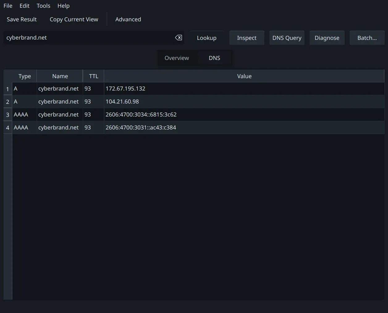 A and AAAA answers in a clean, sortable grid. Query any record type from the same control.